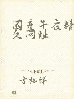 国产午夜精品久久网址