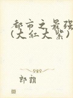 都市之最强狂兵(大红大紫)