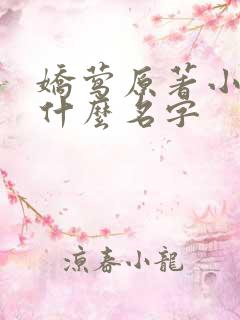 娇莺原著小说叫什么名字