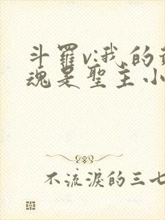 斗罗v:我的武魂是圣主小说完整