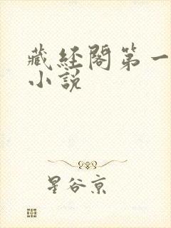 藏经阁第一版主小说