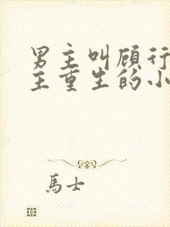 男主叫顾行渊女主重生的小说