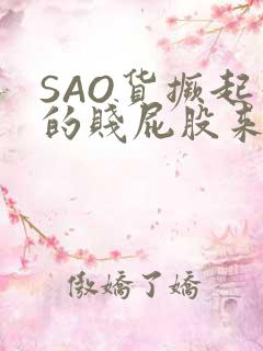 SAO货撅起你的贱屁股来