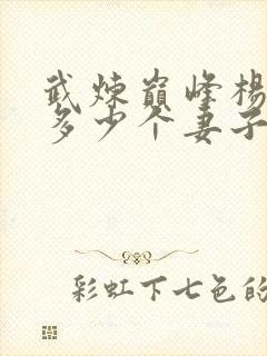 武炼巅峰杨开有多少个妻子