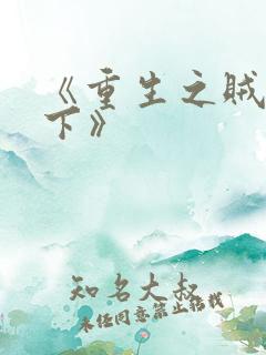 《重生之贼行天下》