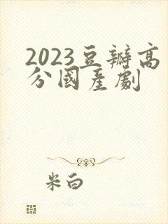 2023豆瓣高分国产剧