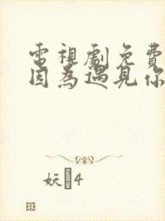 电视剧免费观看因为遇见你