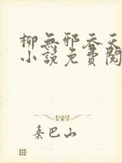 柳无邪吞天神鼎小说免费阅读