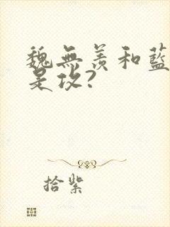 魏无羡和蓝湛谁是攻?