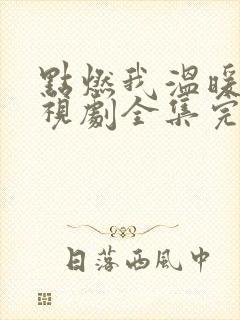 点燃我温暖你电视剧全集完整版免费