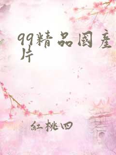 99精品国产毛片