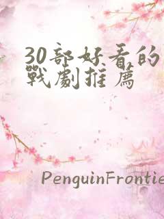 30部好看的谍战剧推荐