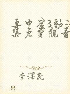 妻中蜜3动漫全集免费观看