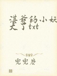 湛爷的小妖精长大了txt