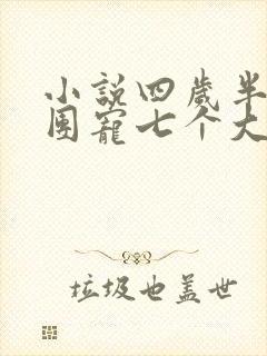 小说四岁半的我团宠七个大佬哥哥