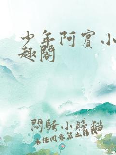 少年阿宾小说笔趣阁