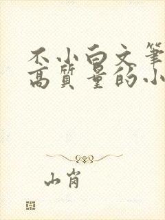 不小白文笔好的高质量的小说