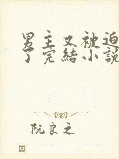 男主又被迫出轨了完结小说