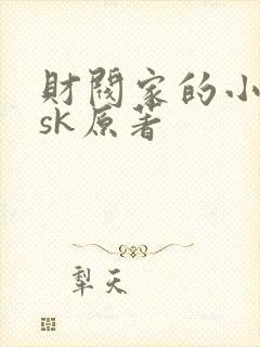 财阀家的小儿子sk原著