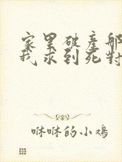家里破产那天,我求到死对头跟前
