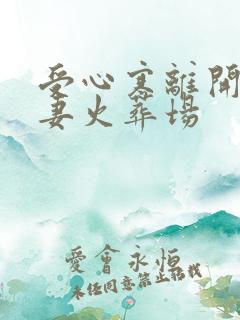 受心寒离开攻追妻火葬场