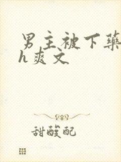 男主被下药后高h爽文