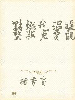 点燃我温暖你完整版免费观看