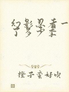 幻影忍者一共出了多少季