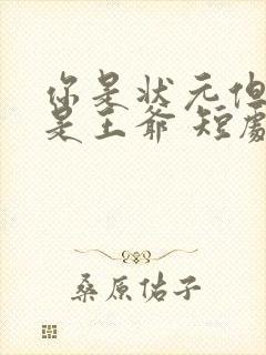 你是状元但你爹是王爷 短剧