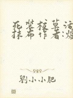 死装校草活该被抹布作者:炉香炉香