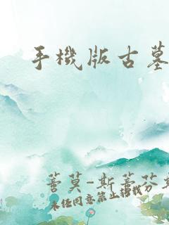 手机版古墓丽影