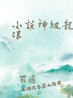 小说神级龙卫沈浪