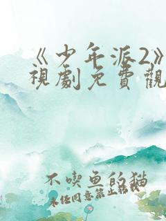 《少年派2》电视剧免费观看