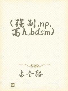 (强制,np,高h,bdsm)