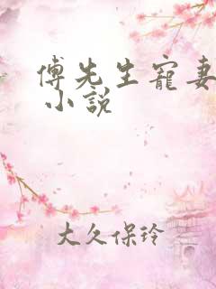 傅先生宠妻无度 小说