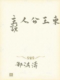 主人公王东的小说