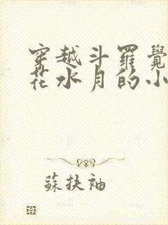 穿越斗罗觉醒镜花水月的小说