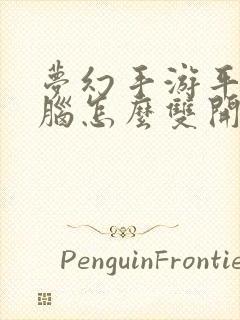 梦幻手游平板电脑怎么双开