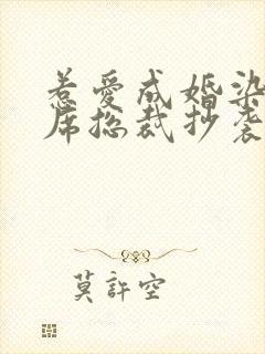 惹爱成婚染指首席总裁抄袭哪部小说