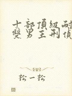 十部顶级耐看的双男主刑侦小说