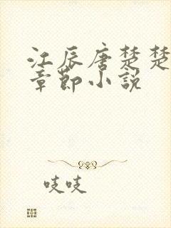 江辰唐楚楚最新章节小说