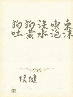 狗狗没吃东西呕吐黄水泡沫粘液