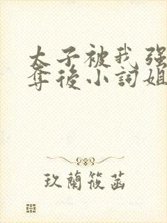 太子被我强取豪夺后小词姐姐