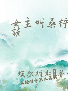 女主叫桑柠的小说