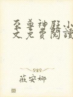 至尊神殿小说全文免费阅读无弹窗