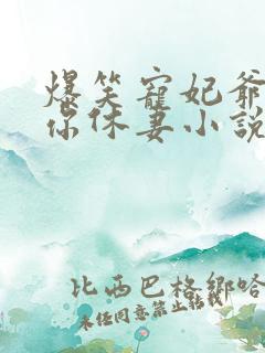 爆笑宠妃爷我等你休妻小说