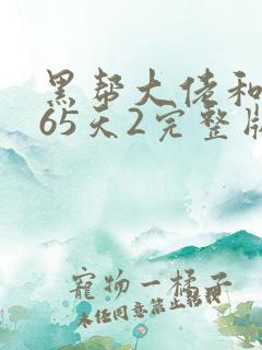 黑帮大佬和我365天2完整版