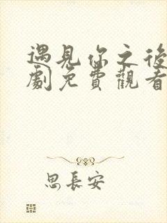 遇见你之后电视剧免费观看全集