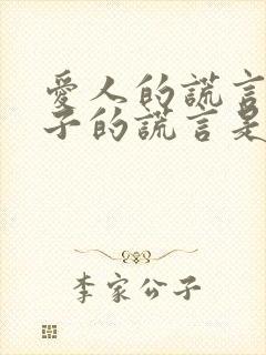 爱人的谎言和妻子的谎言是一部剧吗