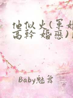 他似火(军婚 高干 婚恋)臣言